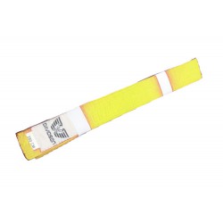 Ceinture Jaune Davidson 280 cm