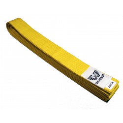 Ceinture Jaune Davidson 280 cm