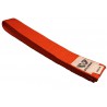 Ceinture Orange Davidson 280 cm