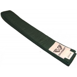 Ceinture Verte Davidson 280 cm